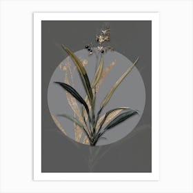 Vintage Botanical Flax Lilies on Circle Gray on Gray n.0252 Art Print