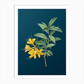 Vintage Yellow Azalea Botanical Art on Teal Blue n.0763 Art Print