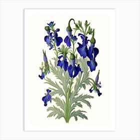 Larkspur Floral 2 Botanical Vintage Poster Flower Art Print