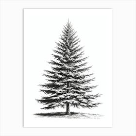 Fir Tree Pencil Sketch Ultra Detailed 1 Art Print