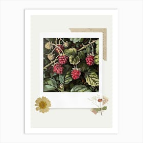 Scrapbook Raspberries Fairycore Painting 4 Art Print