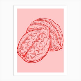 Pomegranate 4 Art Print