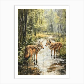 Coyotes At The Stream In The Woods Art Print