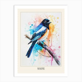 Magpie Colourful Watercolour 1 Poster Art Print