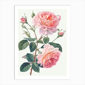 English Roses Painting Sketch Style 2 Art Print