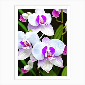 Orchids 7 Art Print