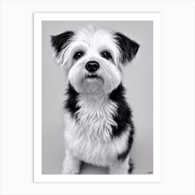 Pumi B&W Pencil Dog Art Print