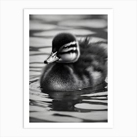 Duckling 0 Art Print