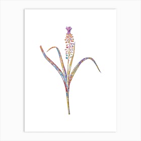 Stained Glass Grape Hyacinth Mosaic Botanical Illustration on White n.0058 Art Print