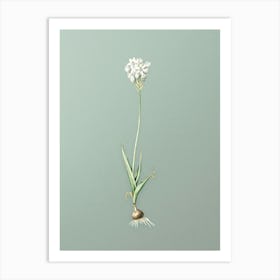 Vintage Chincherinchee Botanical Art on Mint Green n.0506 Art Print