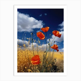 Poppies In The Field 7 Art Print