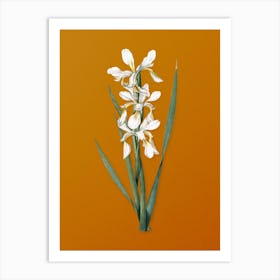 Vintage Yellow Banded Iris Botanical on Sunset Orange n.0905 Art Print