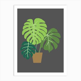 Monstera Plant Art Print