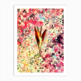 Impressionist Autumn Crocus Botanical Painting in Blush Pink and Gold Art Print