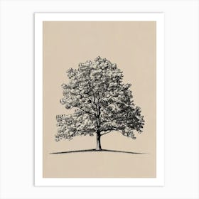 Oak Tree Minimalistic Drawing 1 Art Print