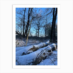 Snowy Woods Art Print