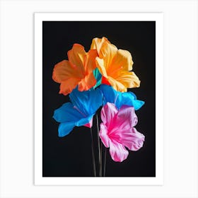 Bright Inflatable Flowers Bougainvillea 1 Art Print