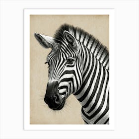 Zebra Portrait Art Print