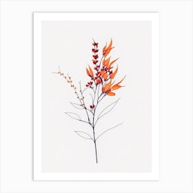 Firethorn Floral Minimal Line Drawing 1 Flower Art Print