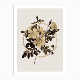 Gold Ring White Candolle Rose Glitter Botanical Illustration n.0257 Art Print