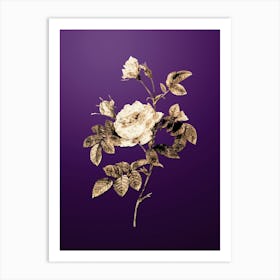 Gold Botanical Pink Rose Turbine on Royal Purple n.4284 Art Print