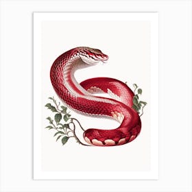Scarlet Snake 1 Vintage Art Print