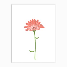 Daisy Flower Art Print