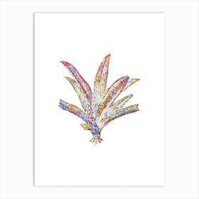 Stained Glass Boat Lily Mosaic Botanical Illustration on White n.0125 Art Print