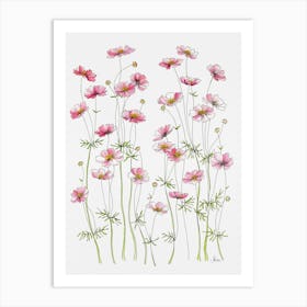 Pink Cosmos Flowers Art Print