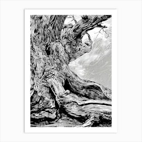 Old Tree Art Print