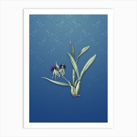 Vintage Clamshell Orchid Botanical on Bahama Blue Pattern n.0948 Art Print