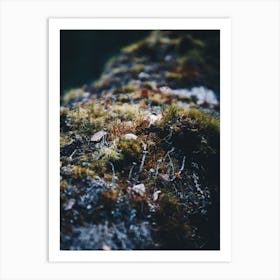 Patagonia Moss Art Print