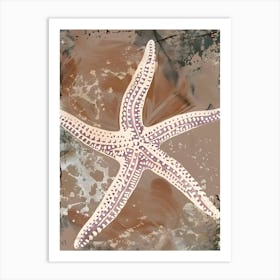 Starfish 29 Art Print