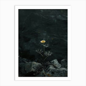 Single Flower In Water 14 Art Print