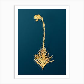 Vintage Scarlet Martagon Lily Botanical in Gold on Teal Blue n.0239 Art Print