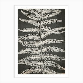 Fern Leaf Botanical 2 Art Print