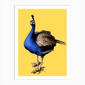 The Peacock Art Print