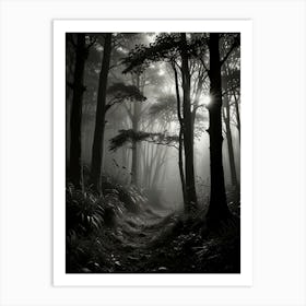 Dark Forest 3 Art Print