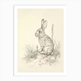 English Spot Rabbit Drawing 3 Art Print