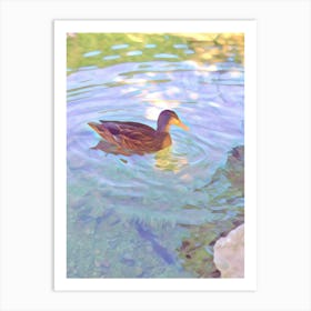 Duck In Water Art Print