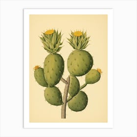 Vintage Cactus Illustration Lemon Ball Cactus 2 Art Print