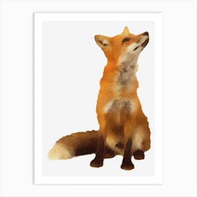 Red Fox Art Print