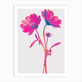 Hot Pink Oxeye Daisy 3 Art Print