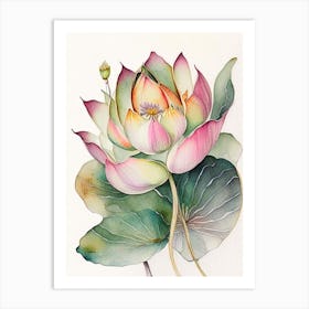 Lotus Flower Petals Watercolour Ink Pencil 1 Art Print