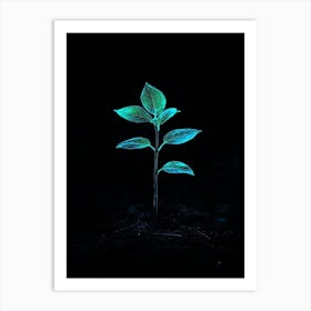 Young Plant In The Dark Art Print