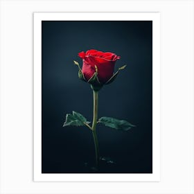 Single Red Rose 2 Art Print