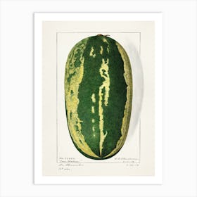 Watermelon 2 Art Print