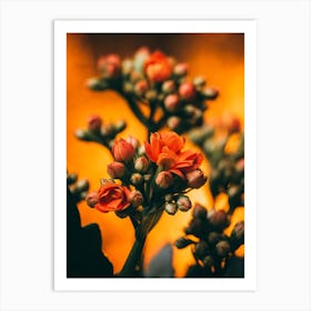 Poster Flower Art Print 21 Art Print