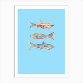 Three Fish Watercolour Art Print