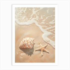 Seashells On The Beach Art Print